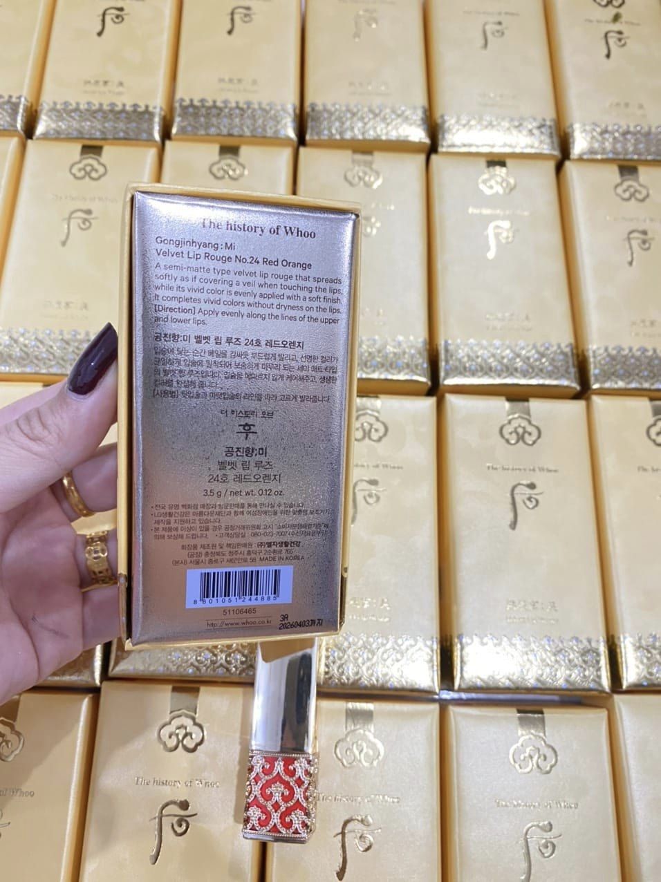 387793152_2196365817227046_577550891247968669_n 387793152_2196365817227046_577550891247968669_n